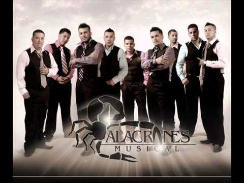 DJ Hydromixx- Alacranes Musical mix 2011
