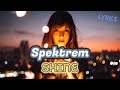 Spektrem - Shine [Lyrics] HQ