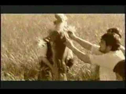 The Alice Rose: "October Mood" (October, 2001)