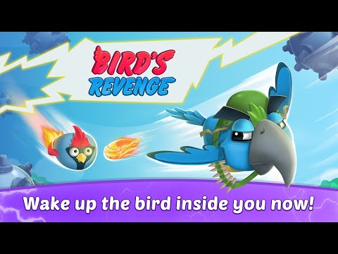 Birds Revenge - Flying birds Video