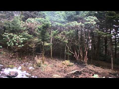 The Joys of Slack Packing