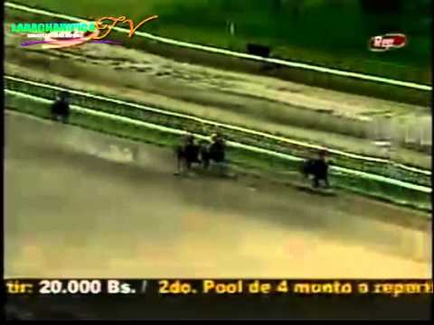 LA RINCONADA 2 CARRERA DOMINDO 24 DE AGOSTO DEL 2014