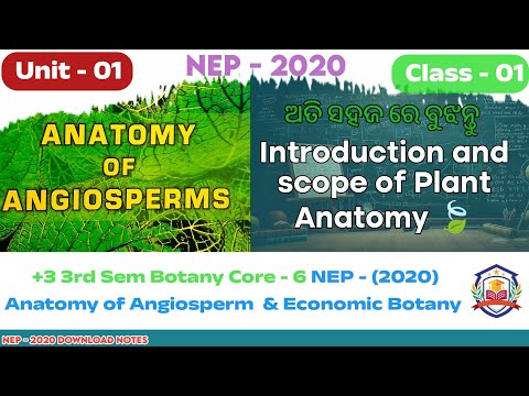 +3 3rd Sem Botany Hons Core 6 |  Anatomy of Angiosperm & Economic Botany| Class 01
