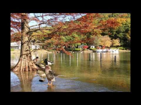 Jardín Botánico Verde Urbano de la ciudad de Kasugai (Greenpia Kasugai)/Primavera/Verano/Otoño/Invierno