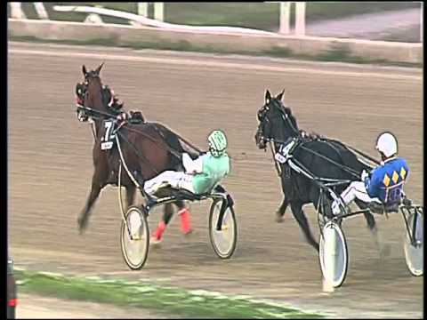 Trotto 08/11/2015 - 6° corsa