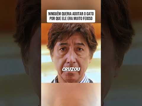 NINGUÉM QUERIA ADOATAR O GATO POR QUE ERA MUITO FEIO #filmes #filmesnovos #series #movie #filmee