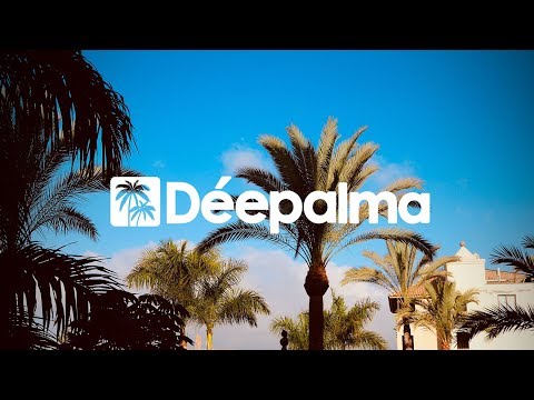 Meines feat. Valentina Franco - Another Night [Déepalma Records]