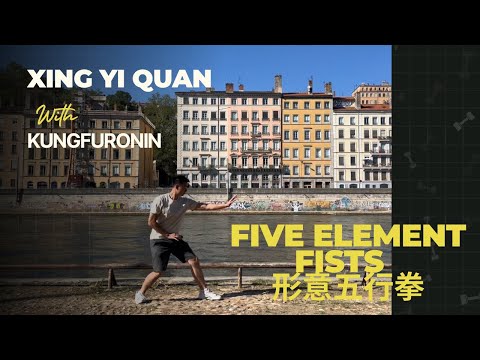Xing yi quan (形意拳）- Wu xing quan/ Five elements fist by kung fu ronin