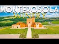 STATE OF THE ART 125 HA ORGANIC WINERY AND VINEYARDS FOR SALE IN VOLTERRA TUSCANY ROMOLINI