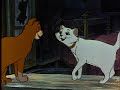 The Aristocats Thomas Duchess Kittens Are Settling In The Night 2000 DVD