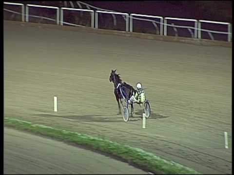 Trotto 11/10/2016 - prova di riqualifica