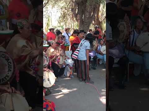 Canto con Caja - Don Simón #copla #amaicha #tradiciones