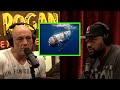 Joe Rogan Rampage Jackson Discuss Titan Submersible S Implosion Joe Rogan Rampage Jackson