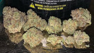 Black Ice Strain Review