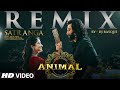Satranga Remix Ranbir Kapoor Rashmika Arijit Singh Sandeep Vanga DJ Basque T Series