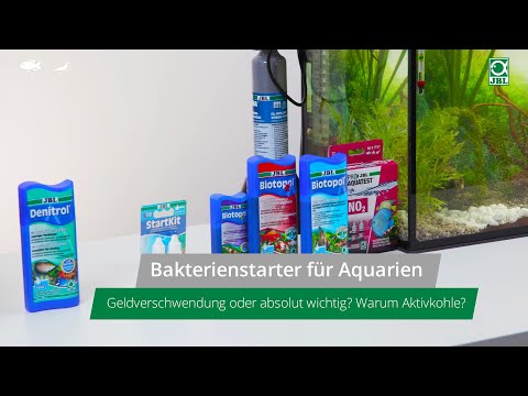 JBL TV #20: Bakterienstarter für Aquarien - Geldverschwendung oder absolut wichtig?