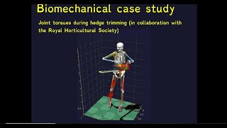 Biomechanical Loads of the Tree Climber