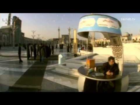 The Successful Believers |  Mohammad Ali Feshandi