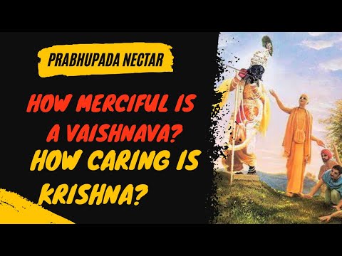 How Merciful is a Vaishnava & How Caring is Krishna | Srila Prabhupada Nectar | The Gita Life