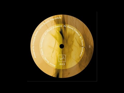 Marco Shuttle - Flauto Synthetico