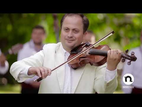Vitalie Dorin și Orchestra Rapsozii Moldovei -  Sârba bătrânilor