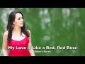 My Love is Like a Red, Red Rose 