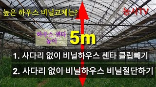 비닐하우스 작업 오이비닐하우스 이중비닐 교체 작업.사다리 없이 하우스 센터 클립 빼기. 사다리 없이 비닐절단…