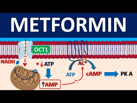 Azulix 4 MF Tablet PR