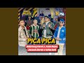 Pica Pica