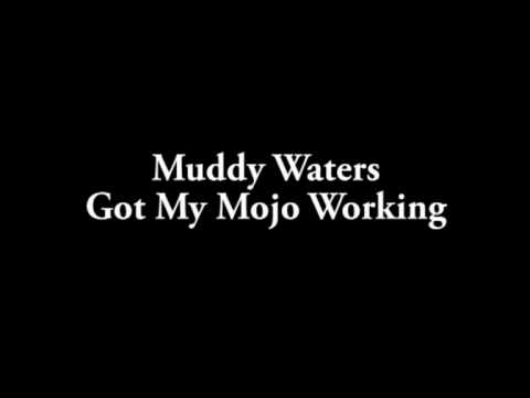 Muddy Waters Got My Mojo Working (Studio)