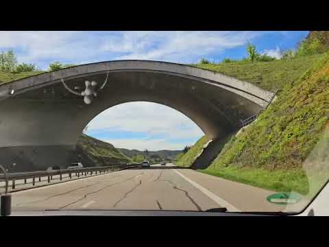 Auf der A98 von Rheinfelden nach Lörrach - Sonnige Fahrt durch den Tunnel