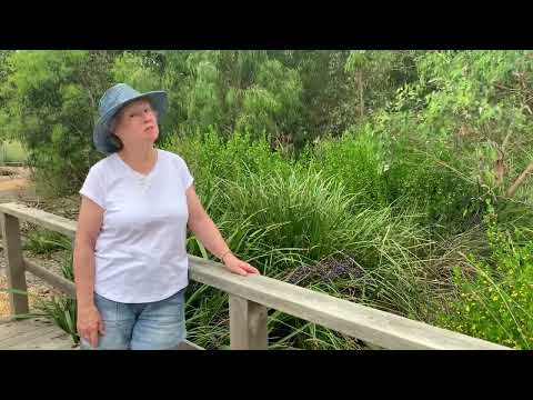 Open Gardens Victoria - Tahree