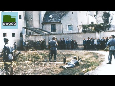 The Executions Of The German Civilians Shot By The Czechs
