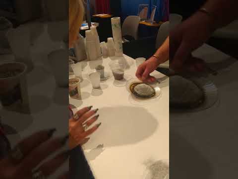 WPMA Couple Demonstration