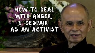 How to deal with anger and despair as an activist?