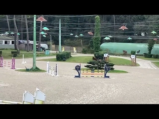 Super cheval de 7 ans 