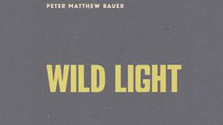 Peter Matthew Bauer / Wild Light