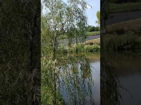 EkoPark Beograd Avala