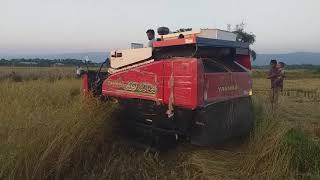 আধুনিক কম্বাইন্ড হারভেস্তর দিয়ে দান কাটা জৈন্তাপুর