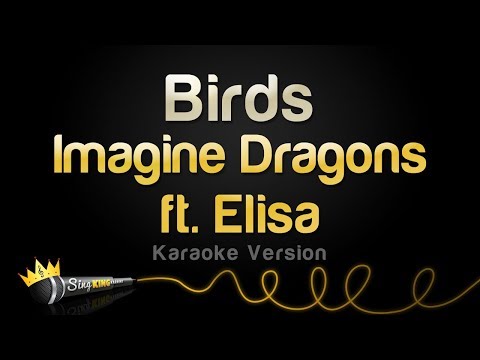 Imagine Dragons ft. Elisa -  Birds (Karaoke Version)