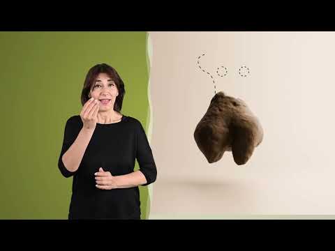 La “dea madre” di Poggio Olivastro