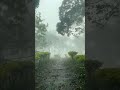 RHTDM Rain Theme Status Shorts Statusvideo Shortsfeed Shortsvideo