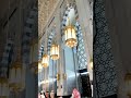 Jisne Madine Jana Karlo Tayyareya Shorts Madina