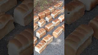 食パン39キロ不法投棄　国立公園・大山の県道に点々と「絶対にやめて」 #大山 #不法投棄 #鳥取