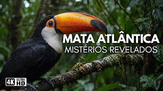 MATA ATLÂNTICA: Coração Selvagem do Brasil | Documentário Completo 4K