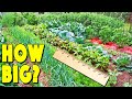 How Much To Plant For A Family Of 4 To Be Self Sufficient (7 Factors That WILL Impact Garden Size)