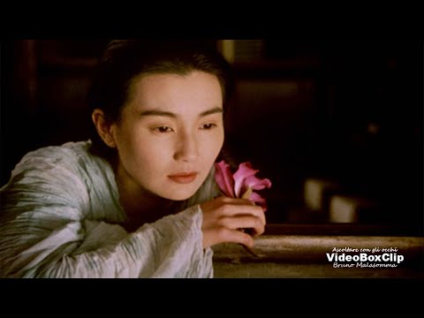 Bungaro | Vestimi Di Te