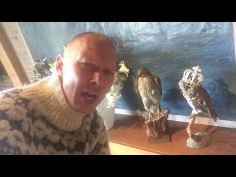 Ravnsborg viking castle tour
