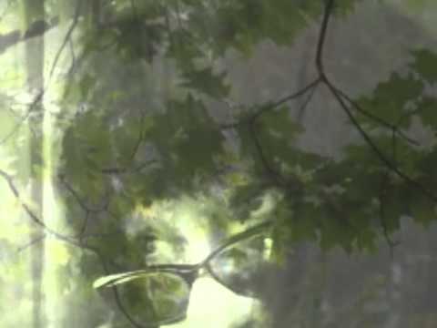 Dżem - Cała w trawie