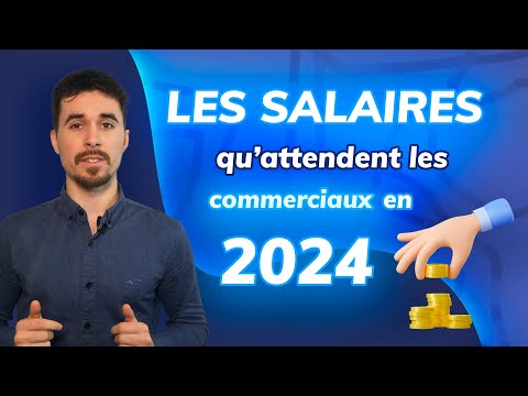 Quelles rémunérations pour les commerciaux en France en 2024 ?